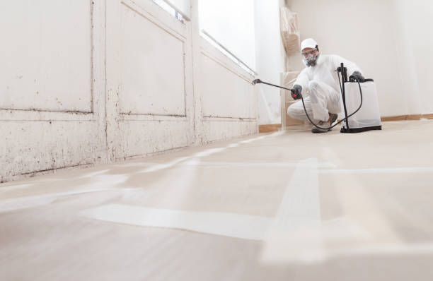 24/7 Emergency Mold Remediation experts in Leesburg, GA