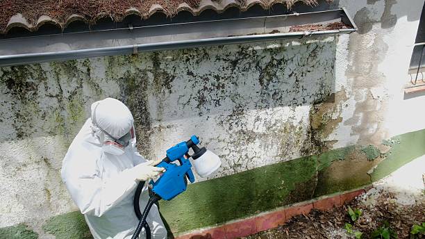 Top rated local Mold Remediation specialists in Leesburg, GA